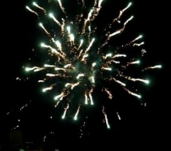 Thank You and Happy New Year!