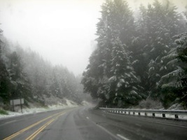 Eureka! An Off-Beat Dream Leads to a Road Trip There