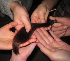 Donating My Hair in Honor of a Friend on Earth Day